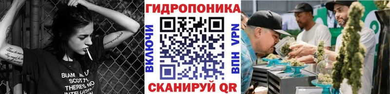 Купить закладку Cocaine  Бошки Шишки  Меф  АМФЕТАМИН  Гашиш  СОЛЬ  Грайворон