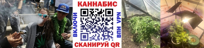 Купить закладки  Грайворон  Канабис ГИДРОПОН 